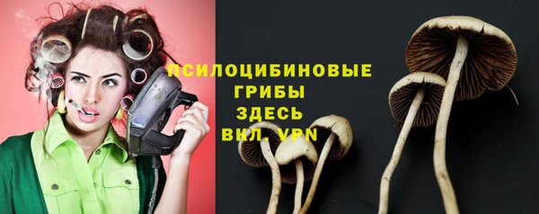 бутират Алексин